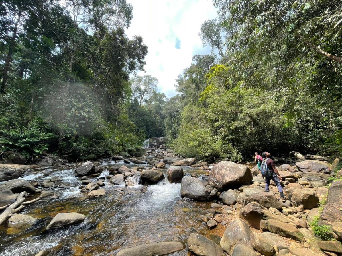 Sinharaja Forest Gate Deniyaya Exterior foto