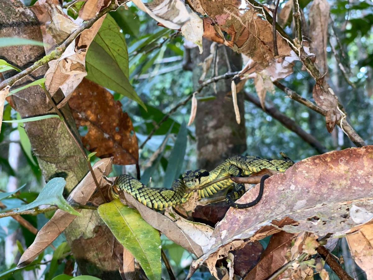 Sinharaja Forest Gate Deniyaya Exterior foto