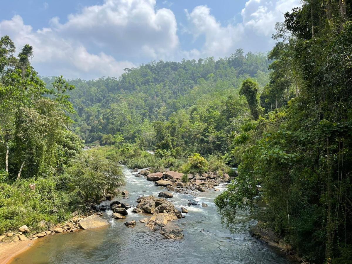 Sinharaja Forest Gate Deniyaya Exterior foto