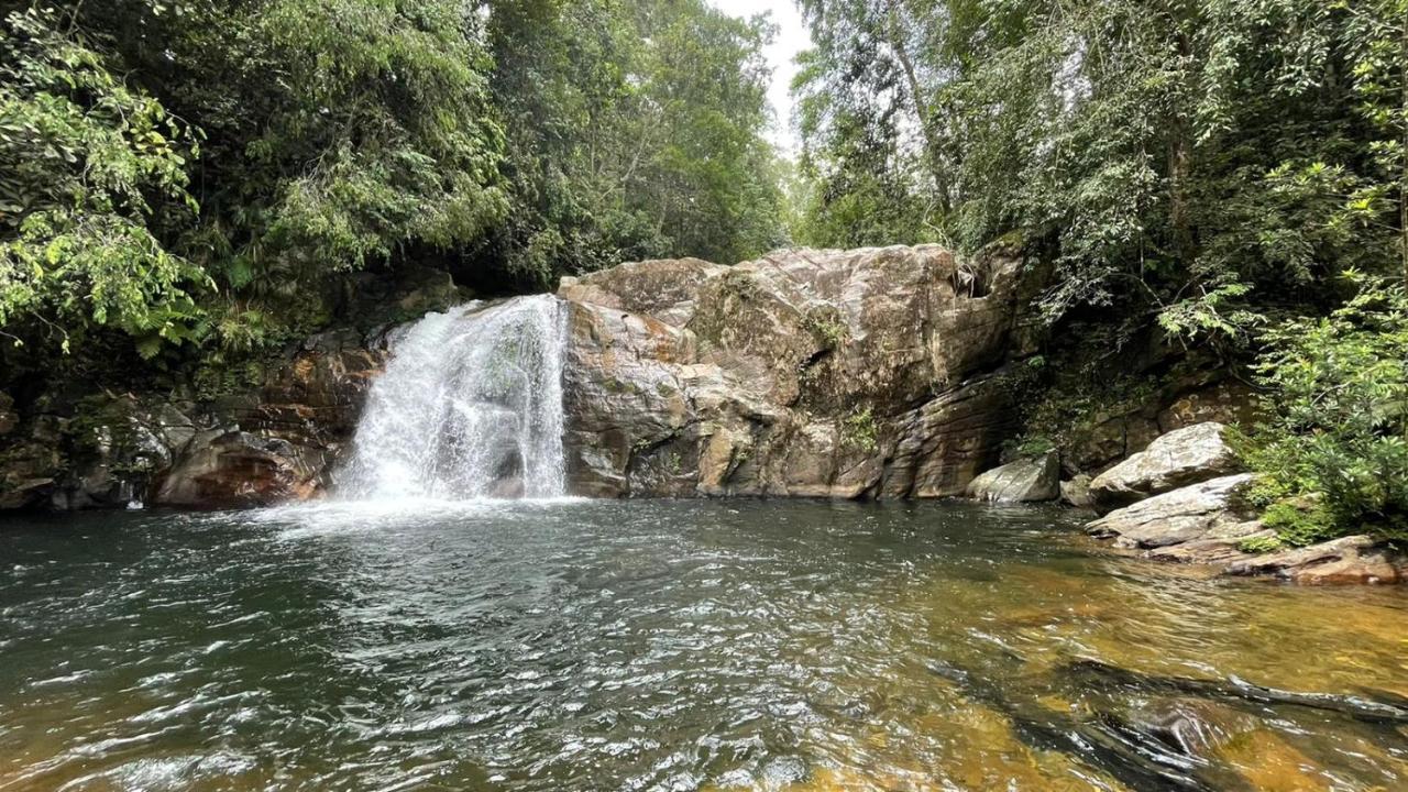 Sinharaja Forest Gate Deniyaya Exterior foto