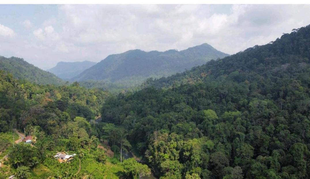 Sinharaja Forest Gate Deniyaya Exterior foto