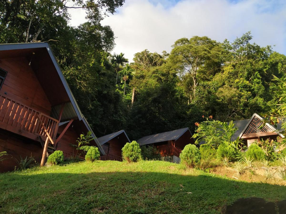 Sinharaja Forest Gate Deniyaya Exterior foto